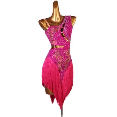 Professional Women's Fringe Latin Dance Dresses for Cha Cha, Tango, Ballroom Competitions