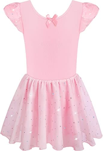 DANSHOW Ballet Girls Glitter Leotards with Tutu Skirt Petal Sleeve