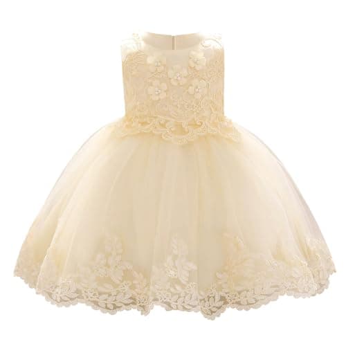OBEEII Toddler Christening Baptism Tutu Dress with Flower Embroidery