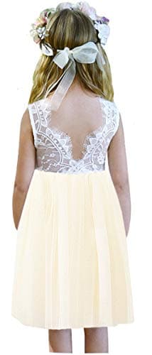 2Bunnies Girl's Rose Lace Back A-Line Tutu Party Dress