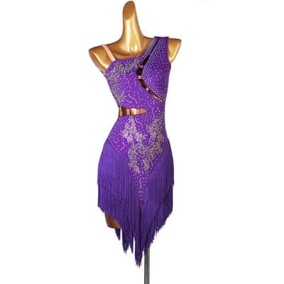 Professional Women's Fringe Latin Dance Dresses for Cha Cha, Tango, Ballroom Competitions