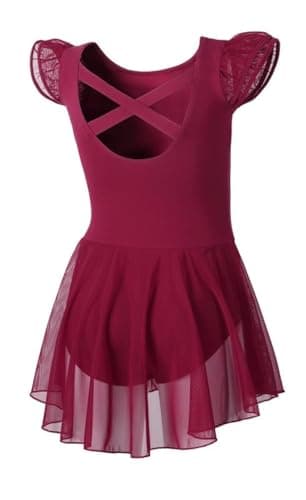 Girls Ballet Leotards with Skirt and Flutter Sleeves