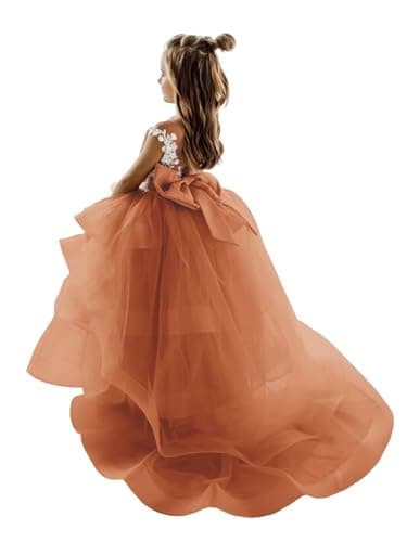 Zikusel Lace Applique Flower Girl Tiered Tulle Wedding Dress