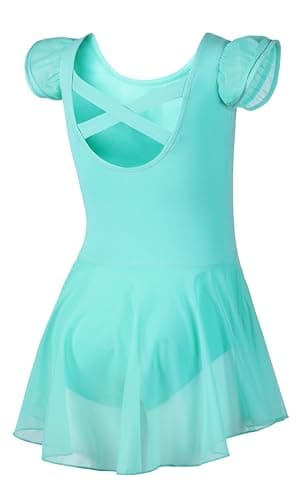 DIPUG Girls' Ballet Leotard with Skirt and Flutter Sleeves