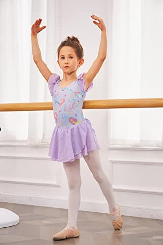 Arshiner Girls' Ballet Dance Tutu Skirted Leotard