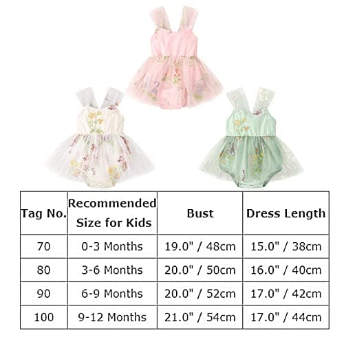Infant Baby Girl Romper Dress with Flower Embroidery
