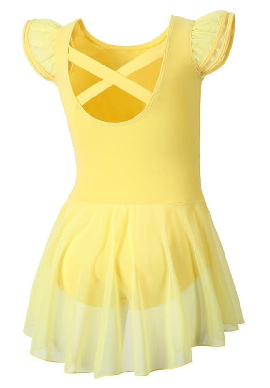 DIPUG Girls' Ballet Leotard with Skirt and Flutter Sleeves