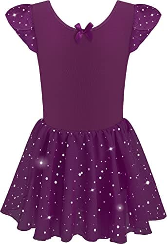 DANSHOW Ballet Girls Glitter Leotards with Tutu Skirt Petal Sleeve
