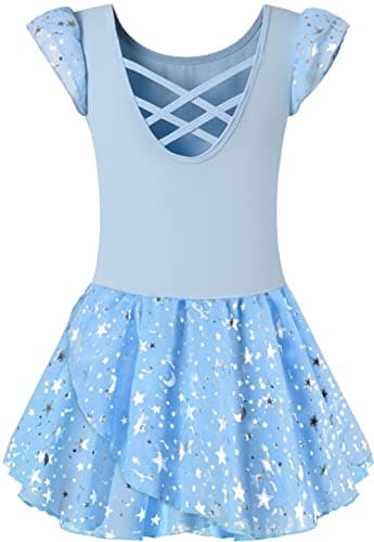 DANSHOW Shiny Ruffle Sleeve Ballet Leotard for Girls Toddler Dance Skirted Tutu Dress
