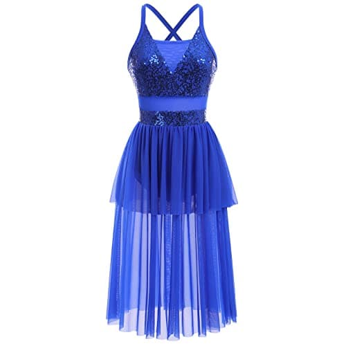 Modern Ballet Tulle Dress for Women