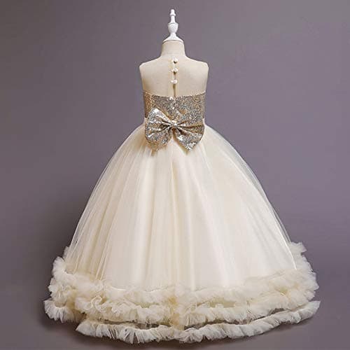 Little Girl Shiny Sequin Tulle Princess Dress