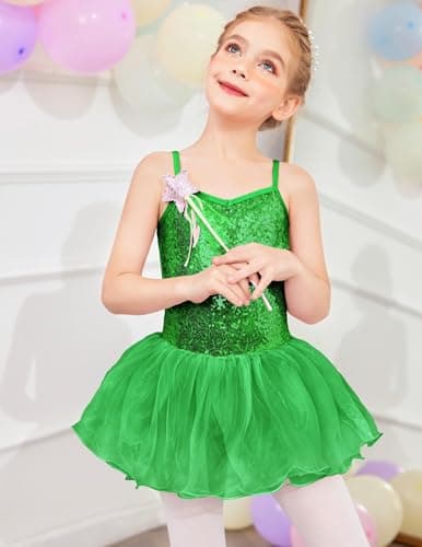 Sparkly Sequin Leotard Tutu Dress for Little Girls Ballet Dance Outfit