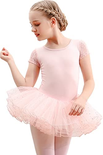 Danswan Glitter Skirt Ballet Tutu for Toddler Girls