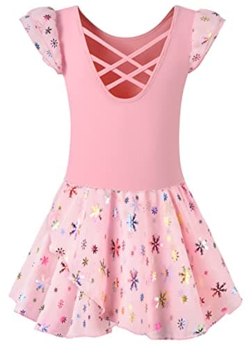 DANSHOW Shiny Ruffle Sleeve Ballet Leotard for Girls Toddler Dance Skirted Tutu Dress