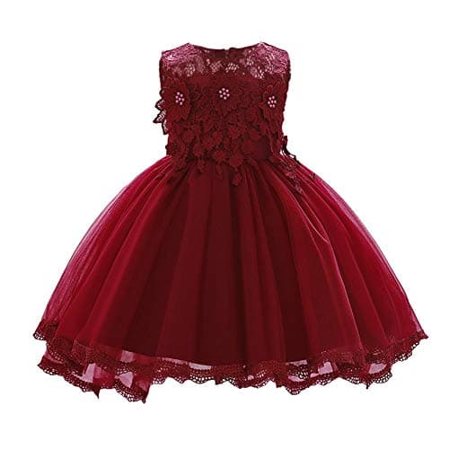 OBEEII Toddler Christening Baptism Tutu Dress with Flower Embroidery