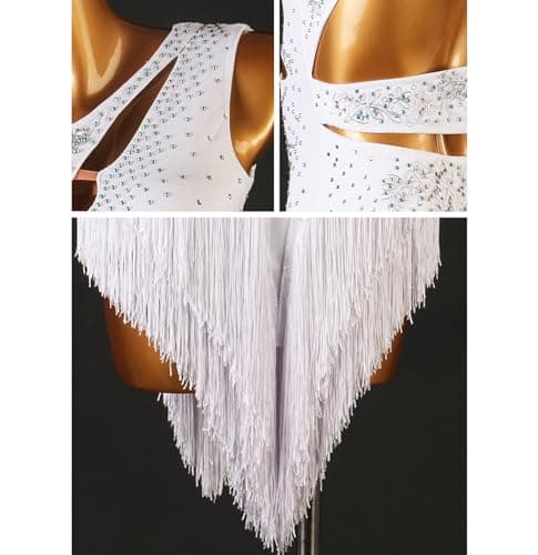 Professional Women's Fringe Latin Dance Dresses for Cha Cha, Tango, Ballroom Competitions