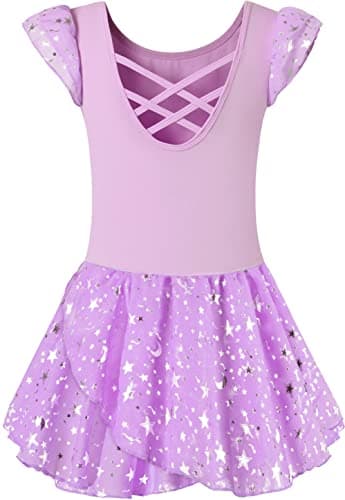 DANSHOW Shiny Ruffle Sleeve Ballet Leotard for Girls Toddler Dance Skirted Tutu Dress