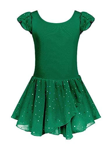 Girls Ballet Dance Dress with Ruffle Sleeves