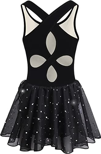 DANSHOW Shiny Ruffle Sleeve Ballet Leotard for Girls Toddler Dance Skirted Tutu Dress
