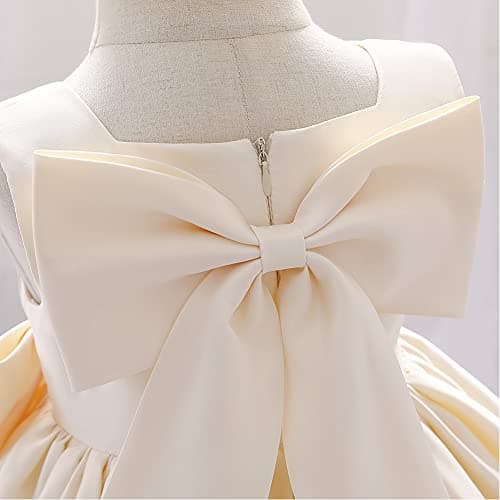 Flower Girl Bowknot Tutu Dress for Kids Baby Princess