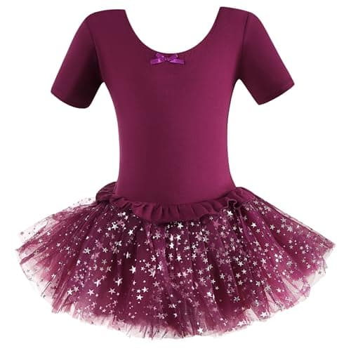 Dancina Girls Sparkle Short Sleeve Tutu Ballet Dress