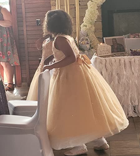 Weileenice Little/Big Girls Lace Bridesmaid Dress