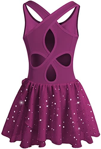 DANSHOW Shiny Ruffle Sleeve Ballet Leotard for Girls Toddler Dance Skirted Tutu Dress