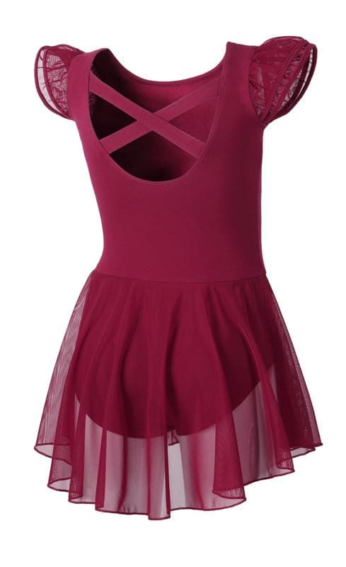 DIPUG Girls' Ballet Leotard with Skirt and Flutter Sleeves