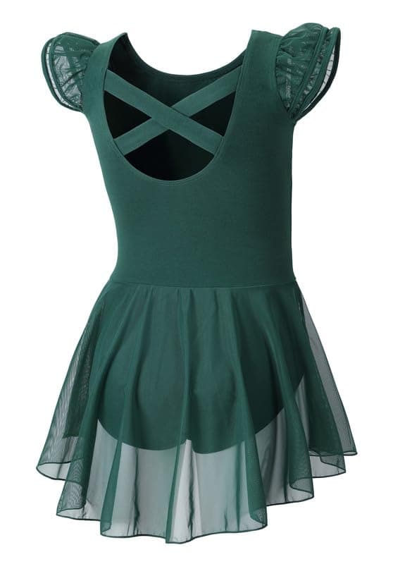 DIPUG Girls' Ballet Leotard with Skirt and Flutter Sleeves