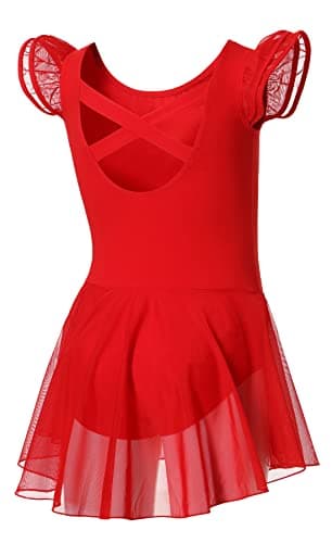 DIPUG Girls' Ballet Leotard with Skirt and Flutter Sleeves