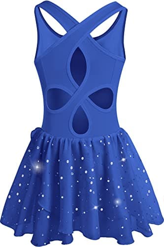 DANSHOW Shiny Ruffle Sleeve Ballet Leotard for Girls Toddler Dance Skirted Tutu Dress