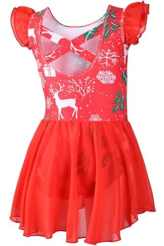 DIPUG Girls' Ballet Leotard with Skirt and Flutter Sleeves