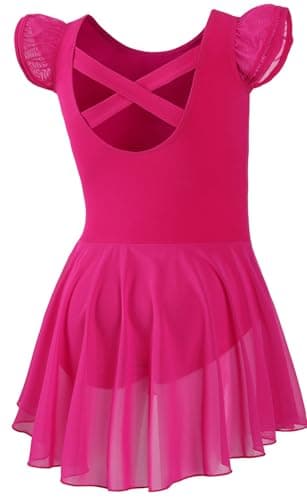 DIPUG Girls' Ballet Leotard with Skirt and Flutter Sleeves