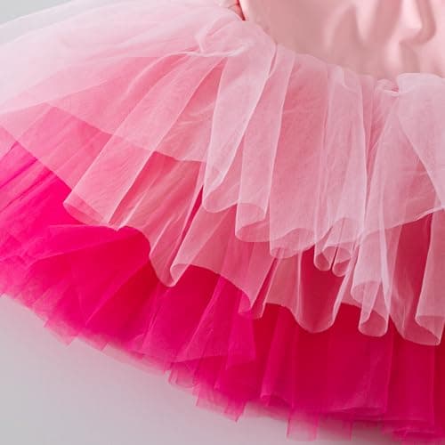 KARETT Girls Ballet Tutu Dress for Toddlers, V-Neck Leotard Outfit, Ages 1-7
