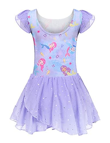 Arshiner Girls' Ballet Dance Tutu Skirted Leotard