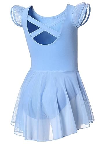 DIPUG Girls' Ballet Leotard with Skirt and Flutter Sleeves