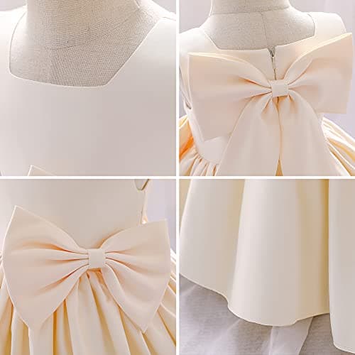 Flower Girl Bowknot Tutu Dress for Kids Baby Princess