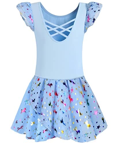 DANSHOW Shiny Ruffle Sleeve Ballet Leotard for Girls Toddler Dance Skirted Tutu Dress