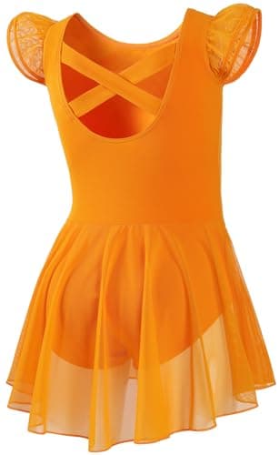 DIPUG Girls' Ballet Leotard with Skirt and Flutter Sleeves