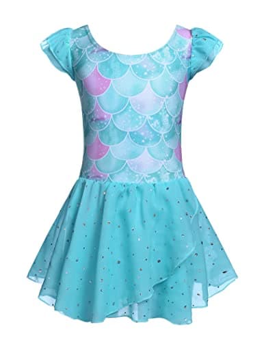 Girls Ballet Dance Dress with Ruffle Sleeves