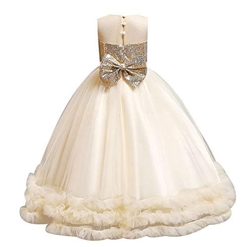 Little Girl Shiny Sequin Tulle Princess Dress