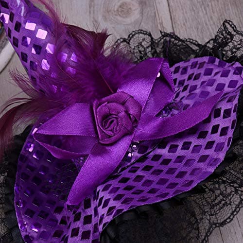 BinaryABC Halloween Witch Hat Headband Costumes Party Supplies (Purple)