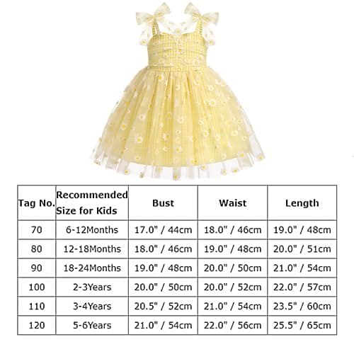 Baby Girls Birthday Party Dress
