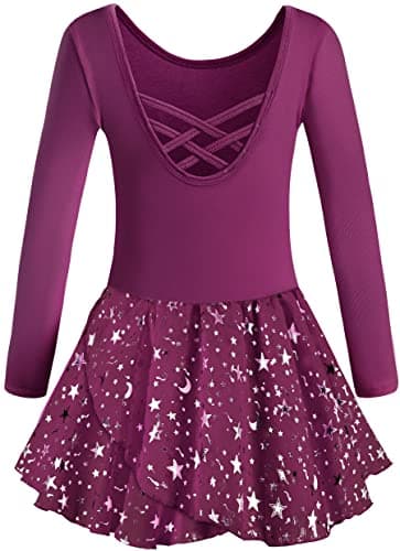 DANSHOW Shiny Ruffle Sleeve Ballet Leotard for Girls Toddler Dance Skirted Tutu Dress