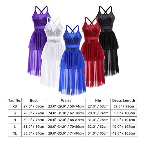 Modern Ballet Tulle Dress for Women