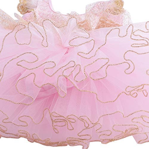 BAOHULU Girls' Ballet Dance Tutu Leotard 3-8 Years