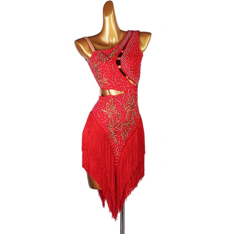Professional Women's Fringe Latin Dance Dresses for Cha Cha, Tango, Ballroom Competitions