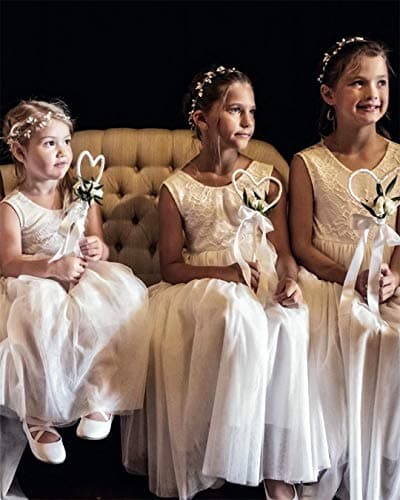 2Bunnies Girl's Rose Lace Back A-Line Tutu Party Dress
