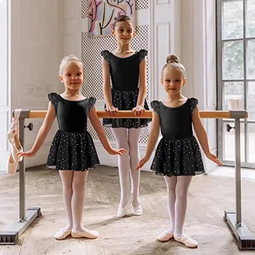 DANSHOW Ballet Girls Glitter Leotards with Tutu Skirt Petal Sleeve