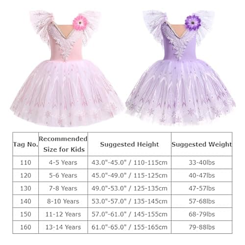Girl's Ballet Tutu Velvet Dress for Dance and Performance